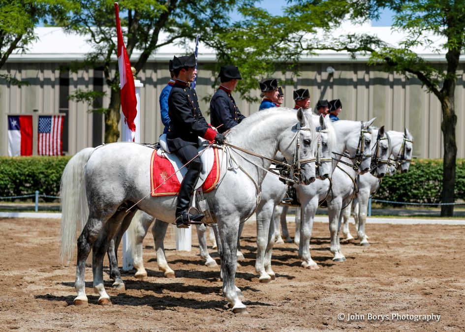 THE TEMPEL LIPIZZANS SUMMER SPOTLIGHT PERFORMANCE