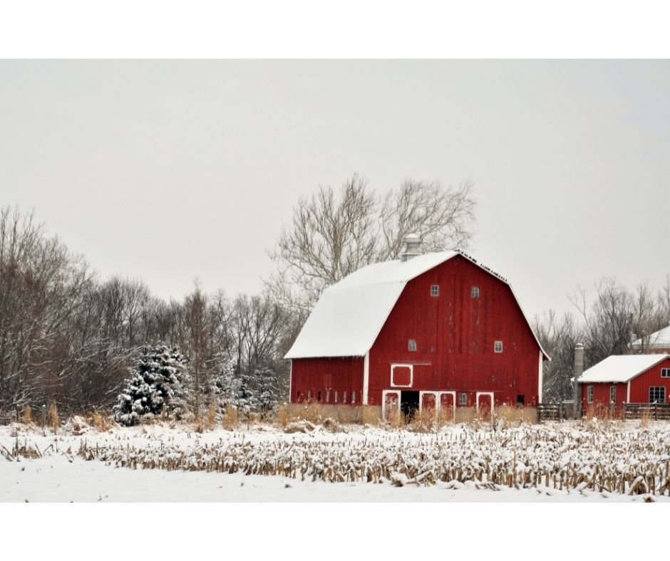 Why are barns red? Don’t know? Meet Mr. John Rouse. John knows why barns are red and many more fascinating facts about farms and barns.